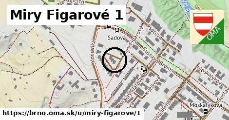 Miry Figarové 1, Brno