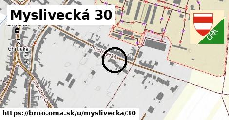 Myslivecká 30, Brno