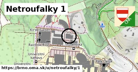 Netroufalky 1, Brno