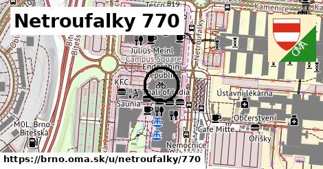 Netroufalky 770, Brno