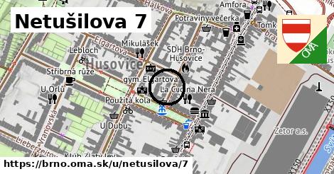 Netušilova 7, Brno