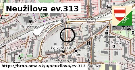 Neužilova ev.313, Brno