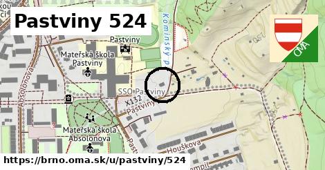 Pastviny 524, Brno