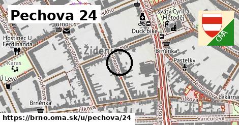 Pechova 24, Brno