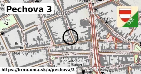 Pechova 3, Brno