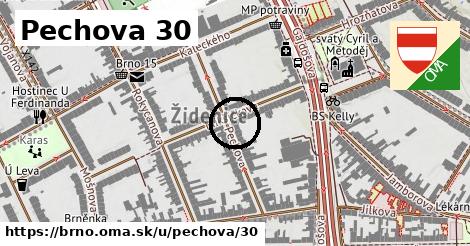 Pechova 30, Brno