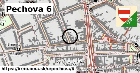 Pechova 6, Brno