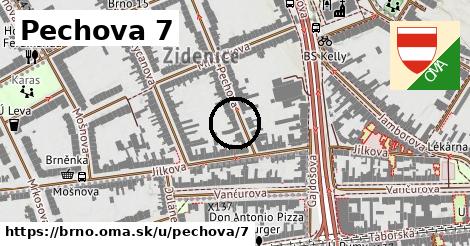 Pechova 7, Brno