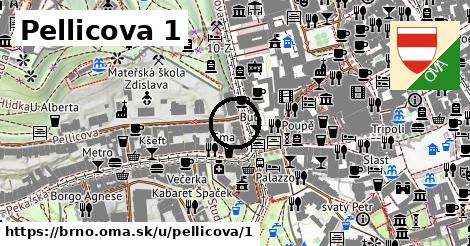 Pellicova 1, Brno