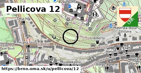 Pellicova 12, Brno