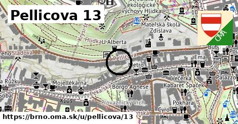 Pellicova 13, Brno