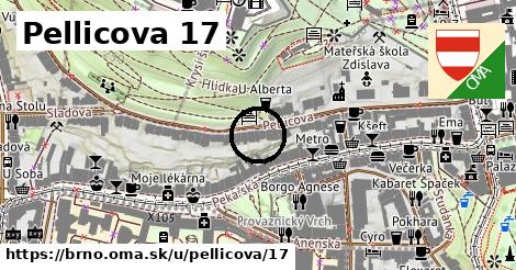 Pellicova 17, Brno