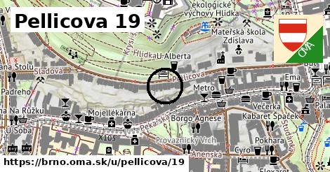 Pellicova 19, Brno