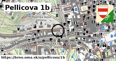 Pellicova 1b, Brno