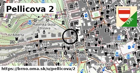 Pellicova 2, Brno