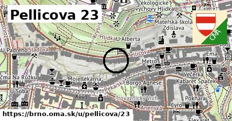 Pellicova 23, Brno