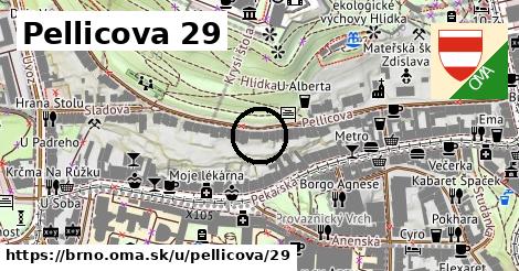 Pellicova 29, Brno