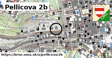 Pellicova 2b, Brno