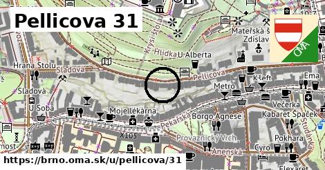 Pellicova 31, Brno