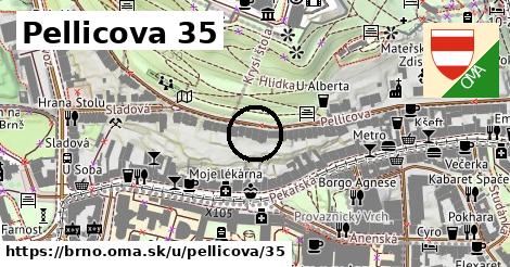 Pellicova 35, Brno