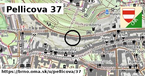 Pellicova 37, Brno