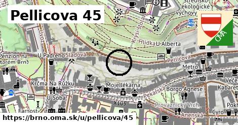 Pellicova 45, Brno