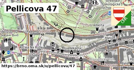 Pellicova 47, Brno