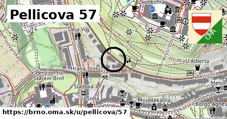 Pellicova 57, Brno