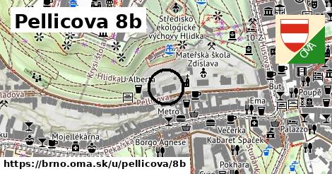 Pellicova 8b, Brno