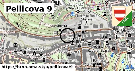 Pellicova 9, Brno