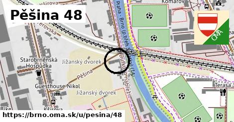 Pěšina 48, Brno