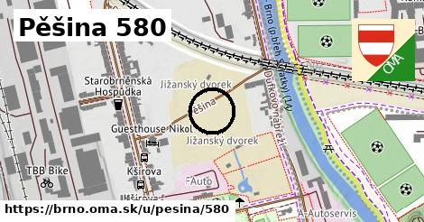 Pěšina 580, Brno