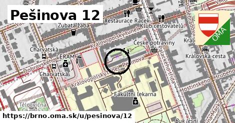 Pešinova 12, Brno