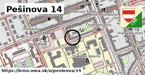 Pešinova 14, Brno