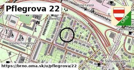 Pflegrova 22, Brno