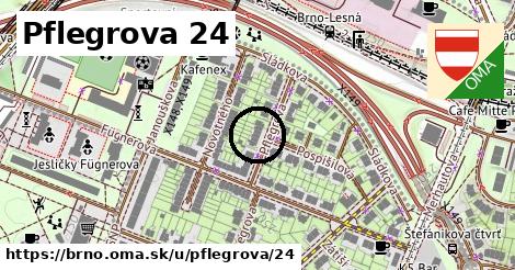 Pflegrova 24, Brno