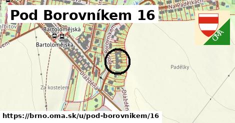 Pod Borovníkem 16, Brno