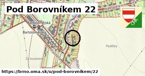 Pod Borovníkem 22, Brno