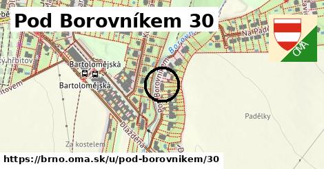 Pod Borovníkem 30, Brno