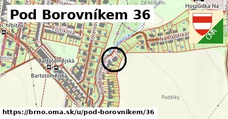 Pod Borovníkem 36, Brno