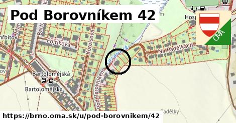 Pod Borovníkem 42, Brno