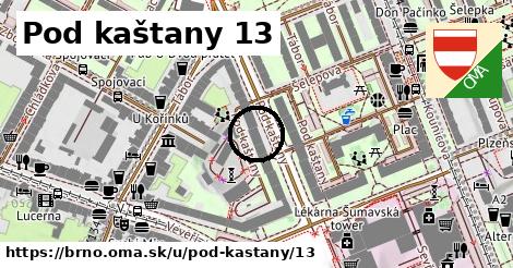 Pod kaštany 13, Brno