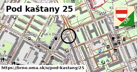 Pod kaštany 25, Brno