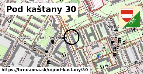 Pod kaštany 30, Brno