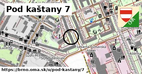 Pod kaštany 7, Brno