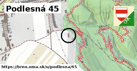 Podlesná 45, Brno