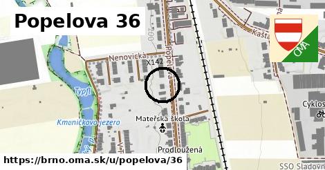 Popelova 36, Brno