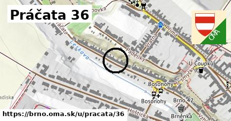 Práčata 36, Brno