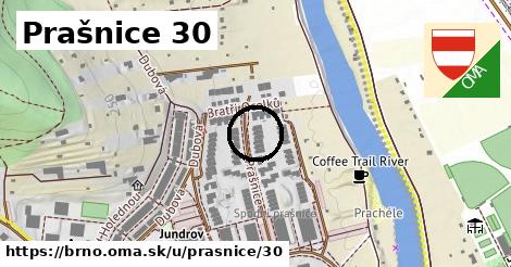 Prašnice 30, Brno