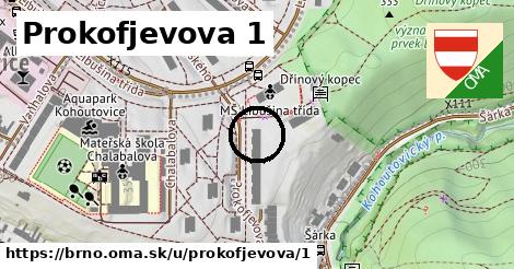 Prokofjevova 1, Brno